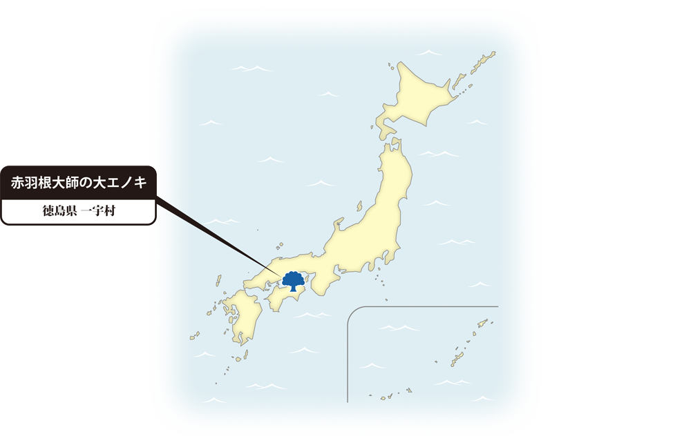 エノキの地図