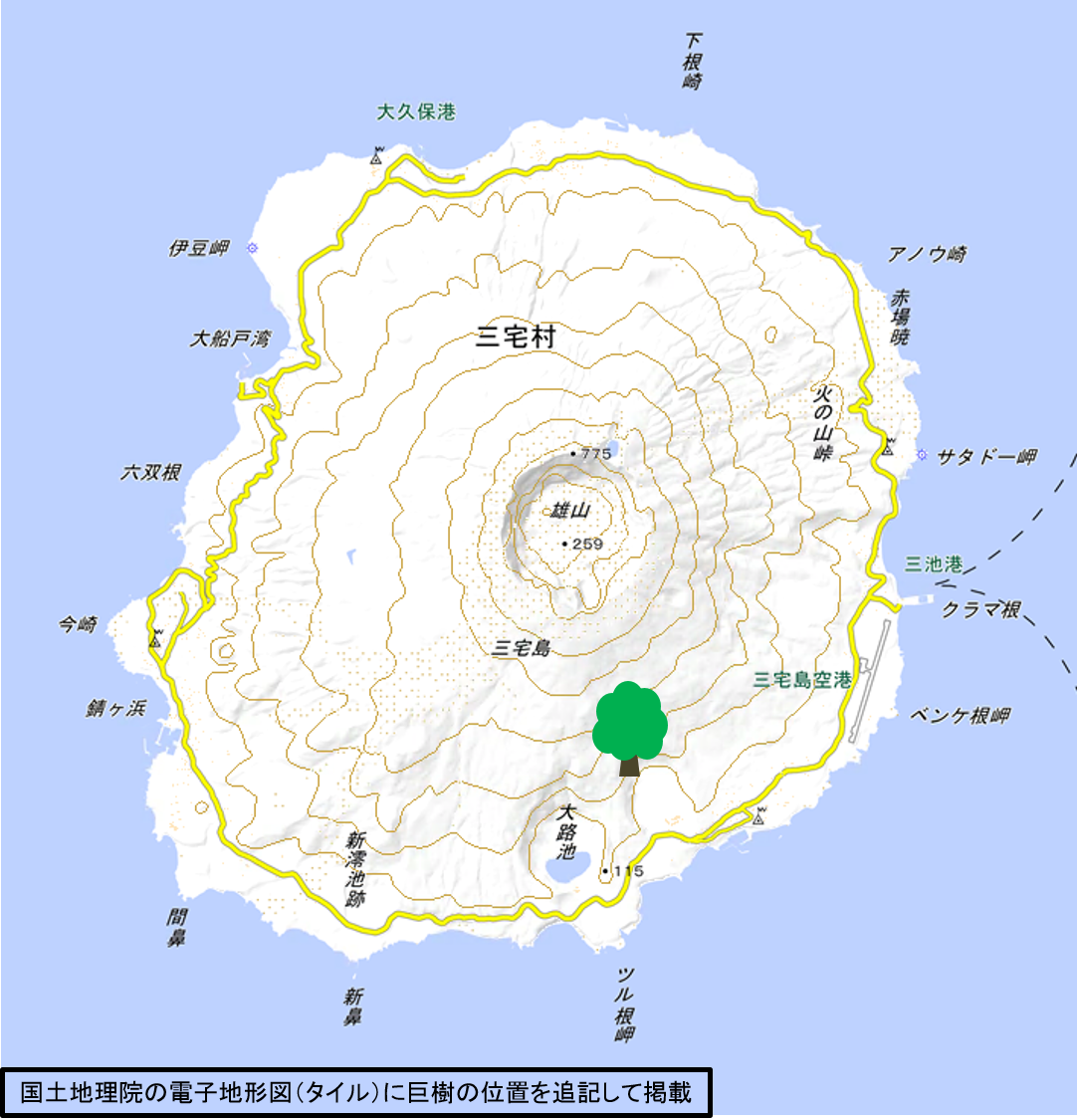 東京都三宅島の地図