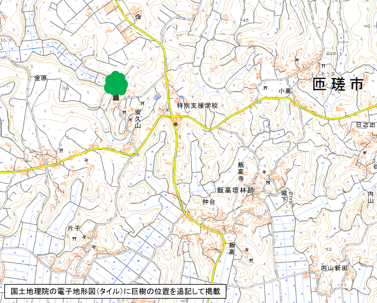 安久山の大シイの地図