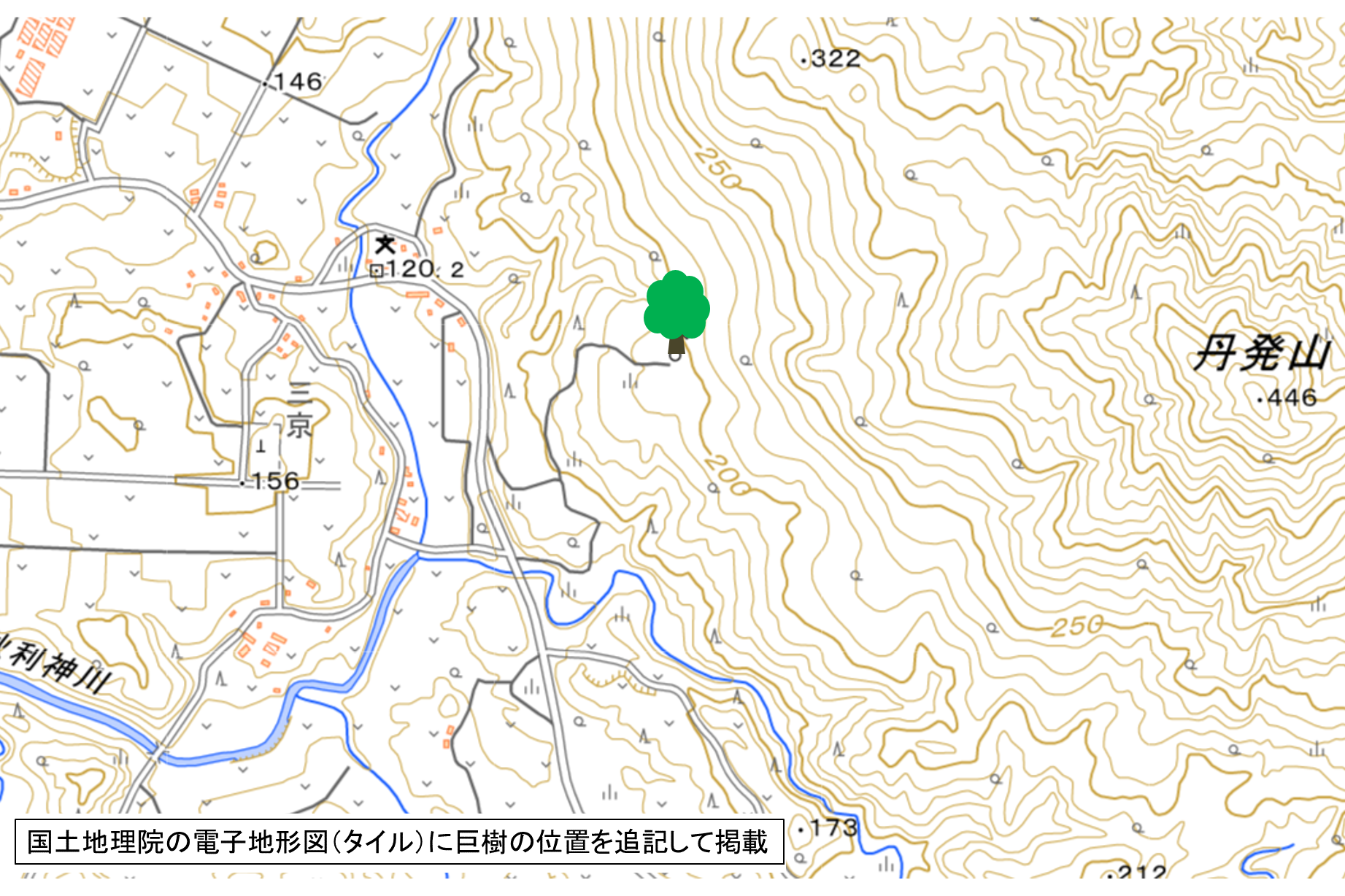 三京（みきょう）のオキナワウラジロガシの地図