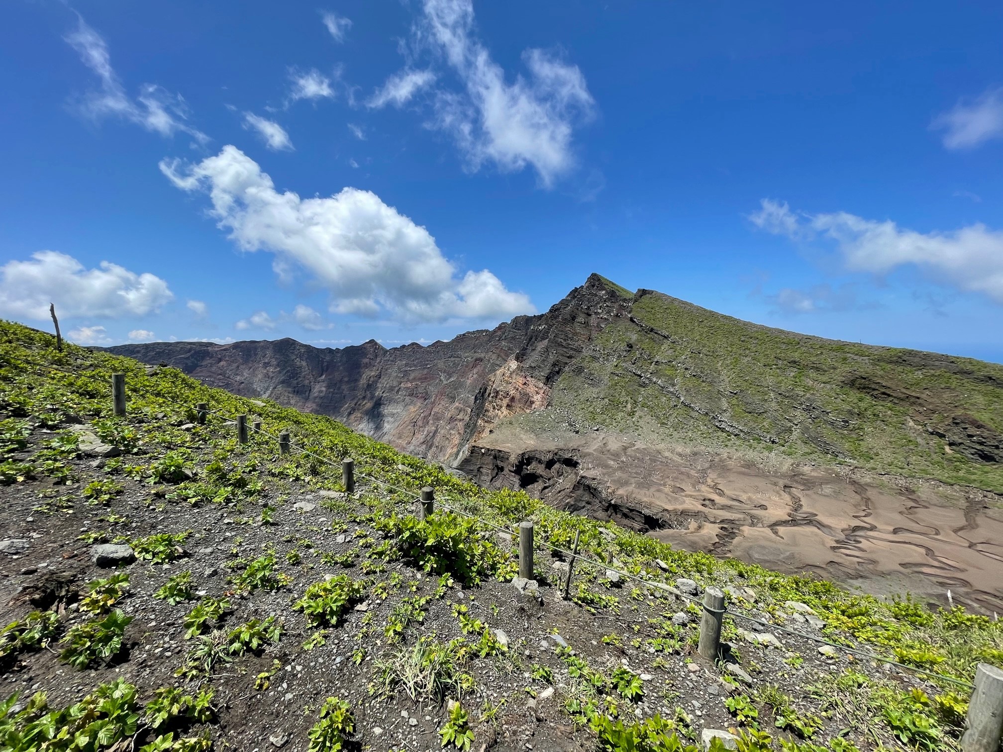 2000年の大噴火では４年半全島避難となったが、2700年ぶりに雄山山頂には陥没カルデラが形成された。山頂山腹の森は消失したが、緑が蘇ってきた(2023年5月撮影)