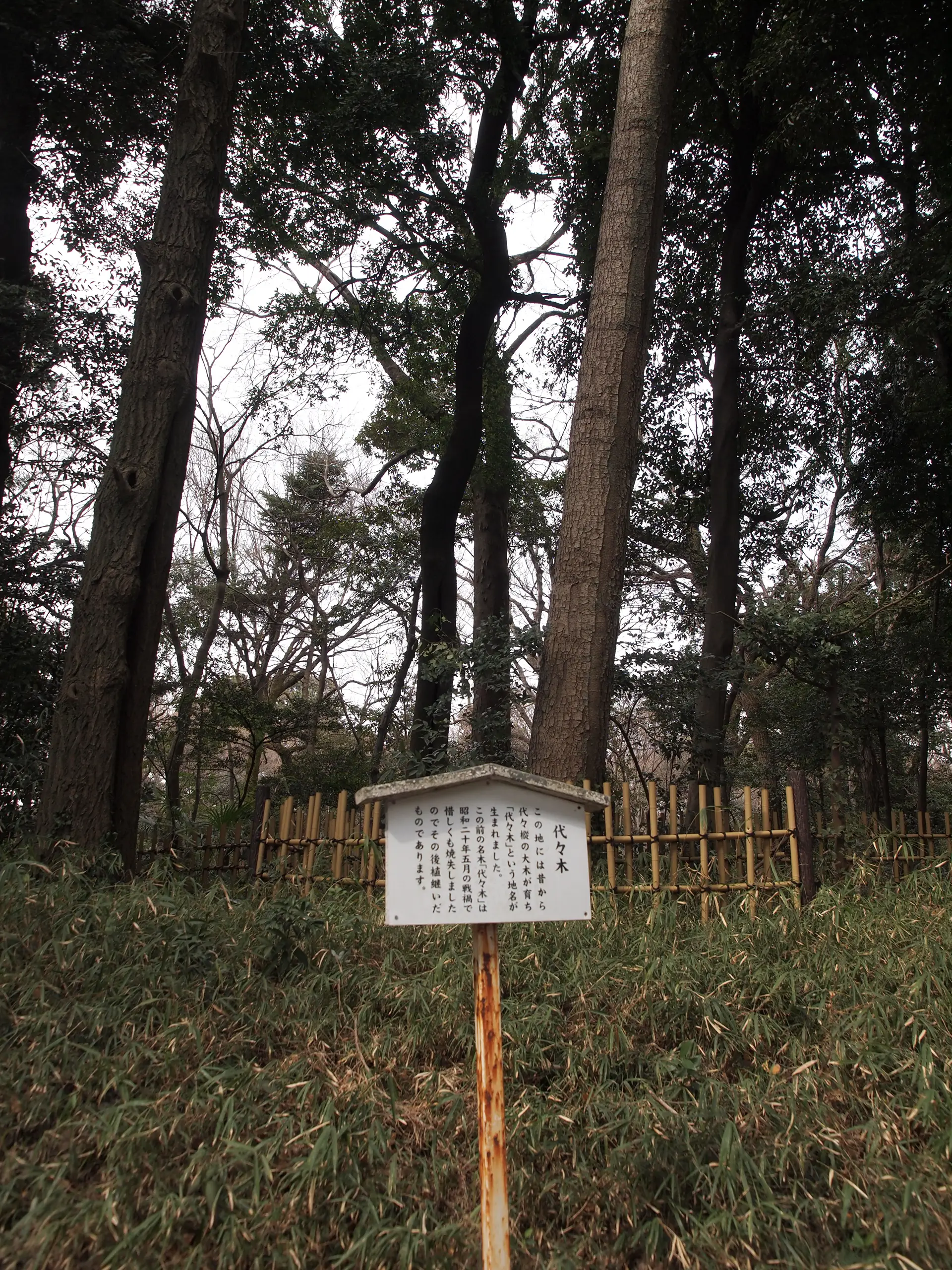 代々木の由来