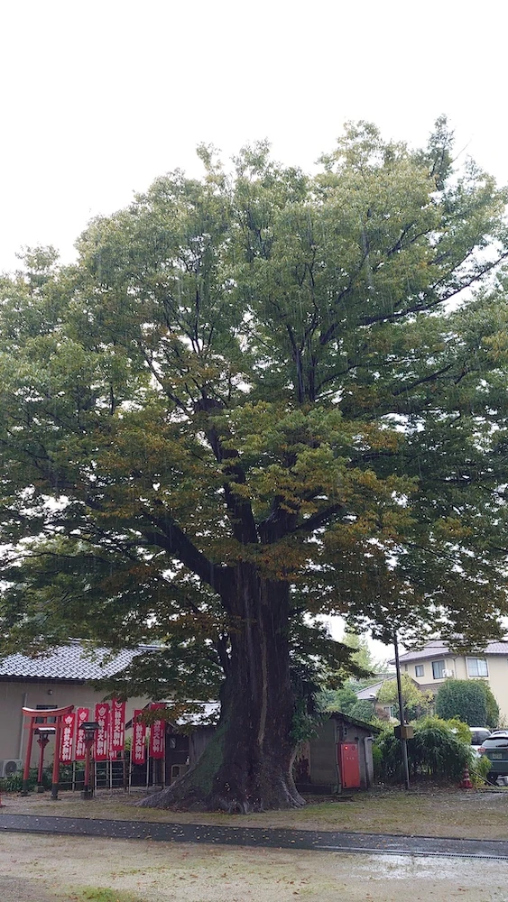 鳥取県東部_イメージ