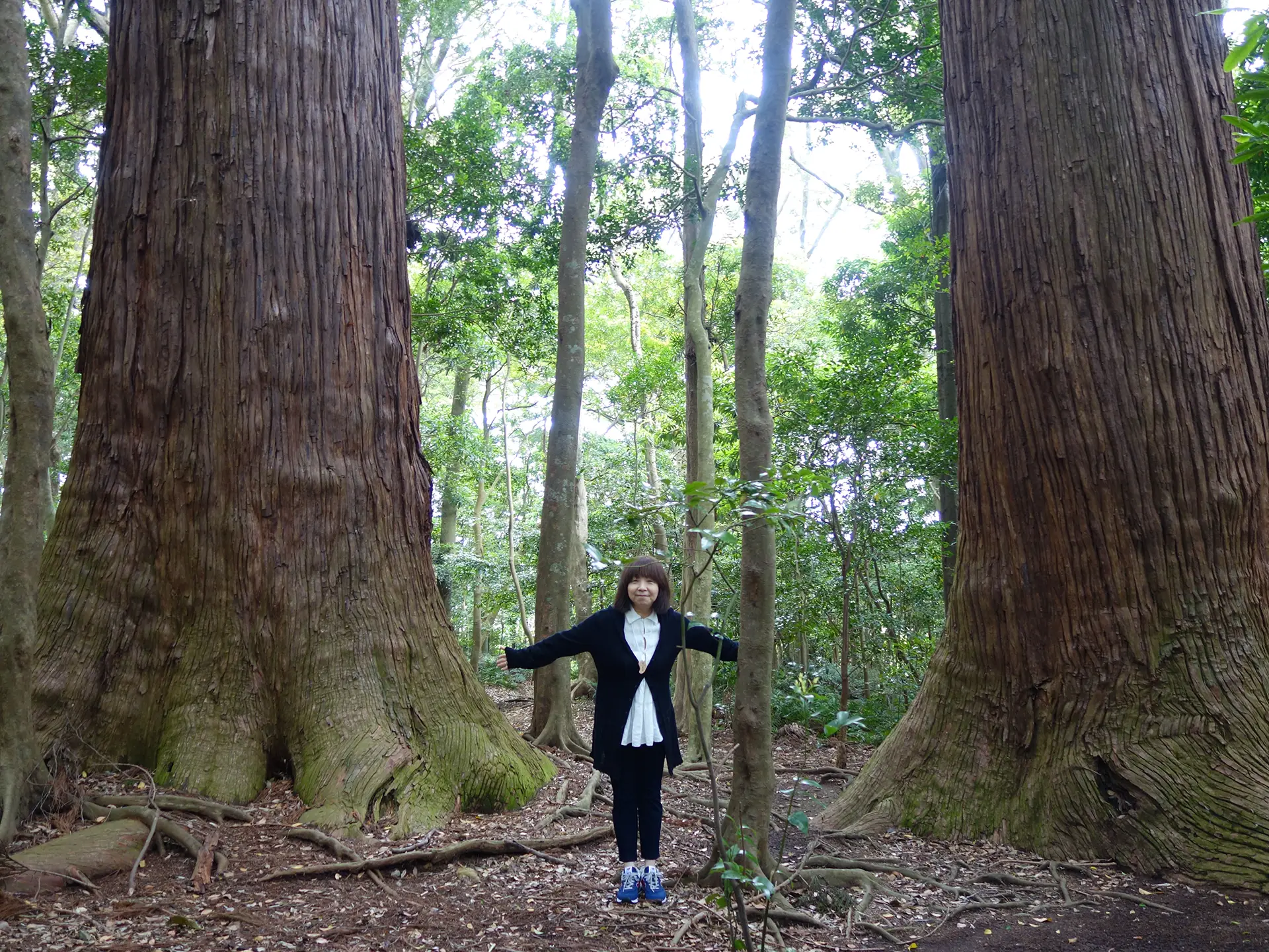 イルカさん（シンガーソングライター）の写真