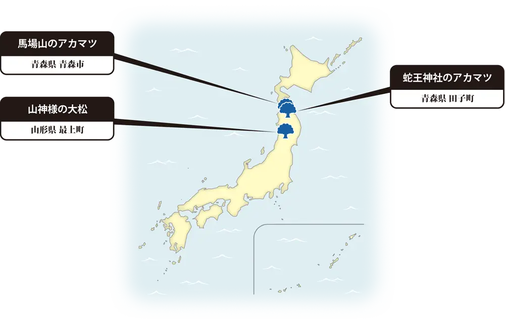 アカマツの地図