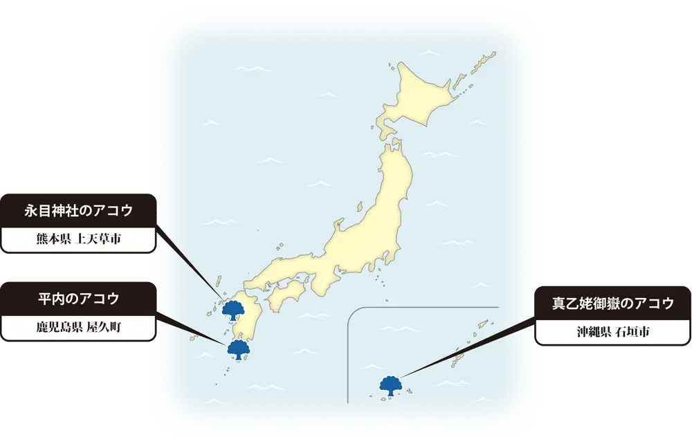 アコウの地図