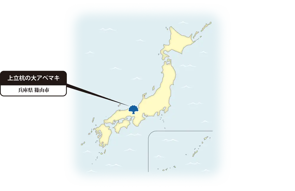 アベマキの地図