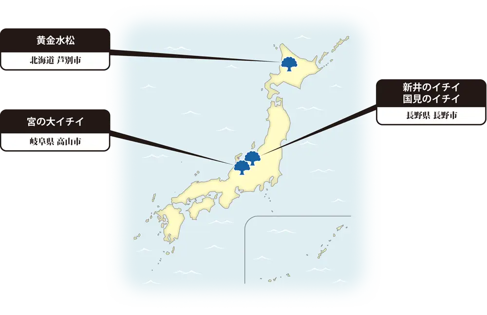 イチイの地図