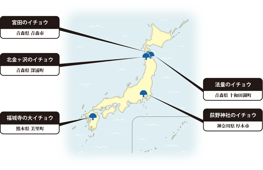 イチョウの地図