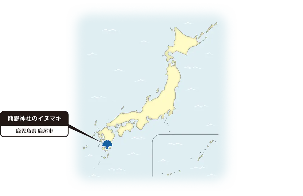 イヌマキの地図