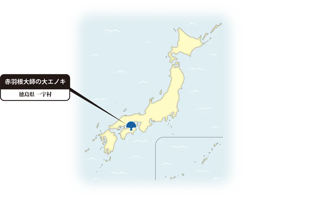 エノキの地図