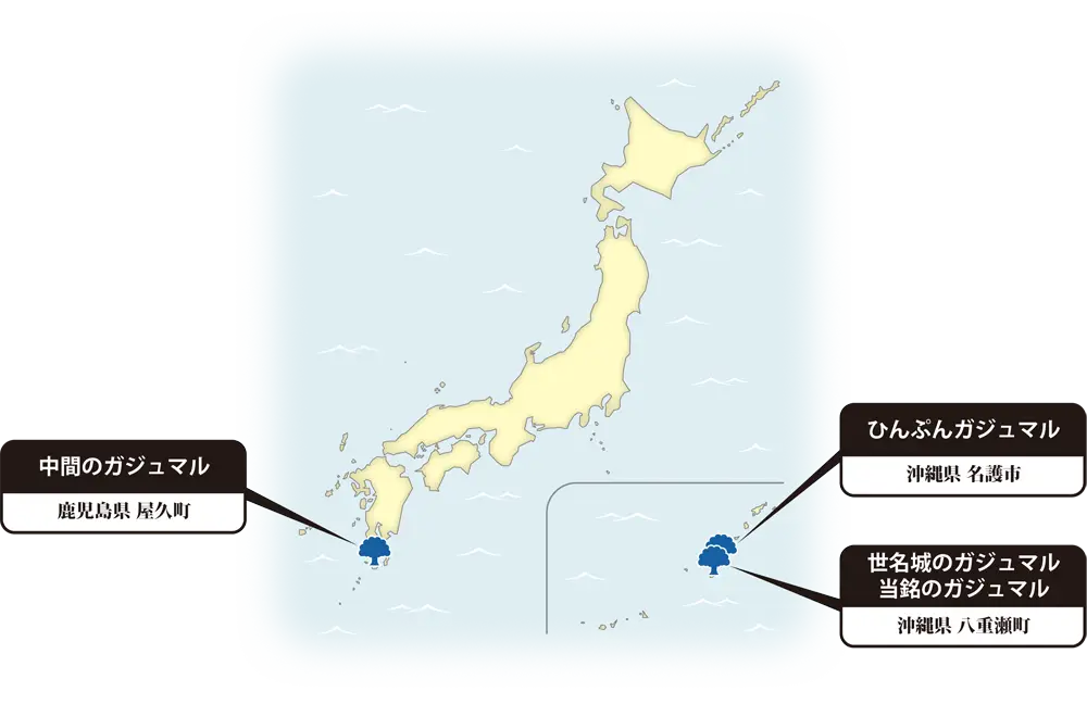 ガジュマルの地図